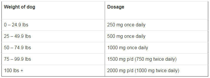 Glucosamine for Dogs is a Bad Idea 