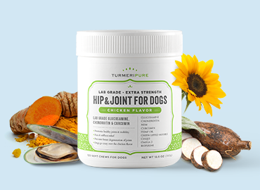 Best Glucosamine for Dogs